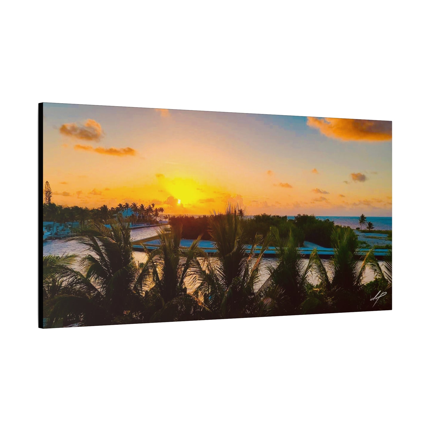 “Beyond The Palms” // Signature Set