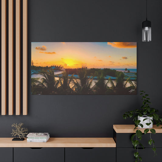 “Beyond The Palms” // Signature Set