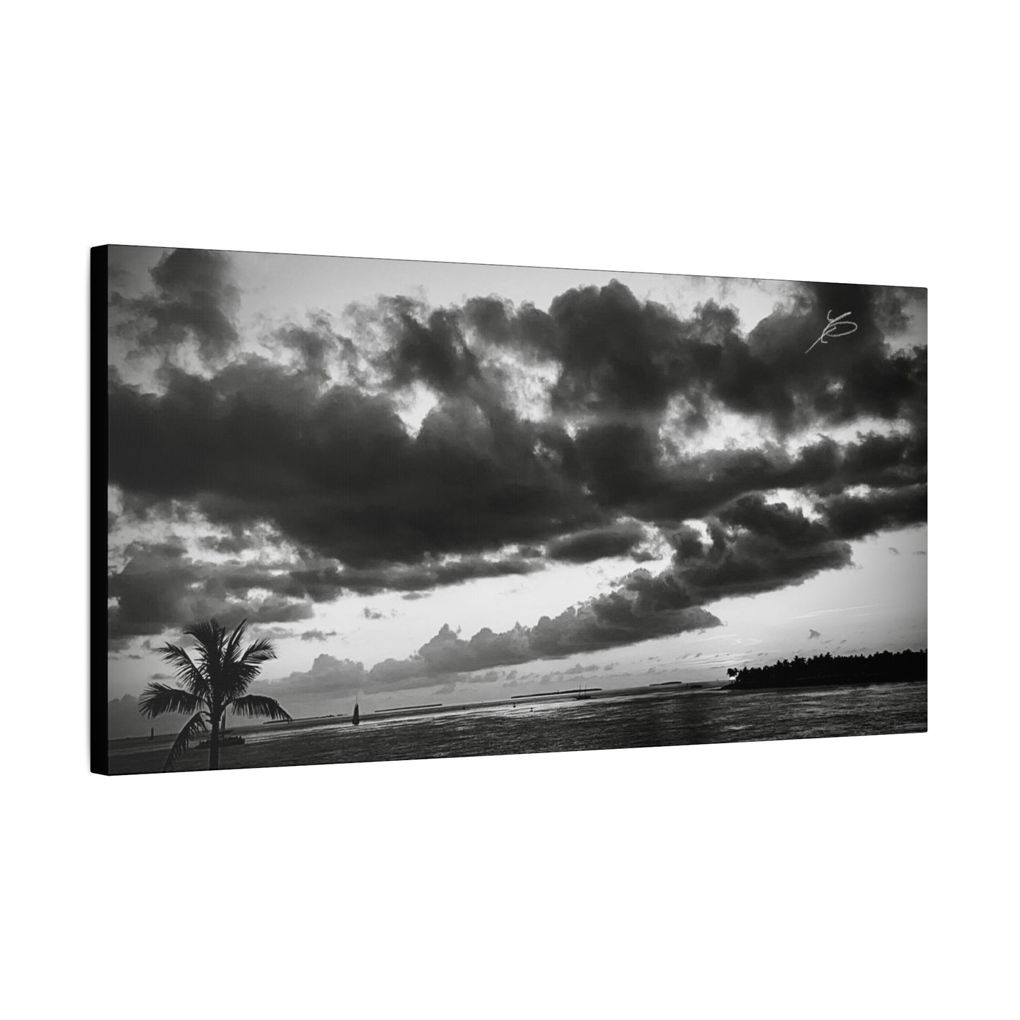 "Blackwater Dusk” // Signature Set