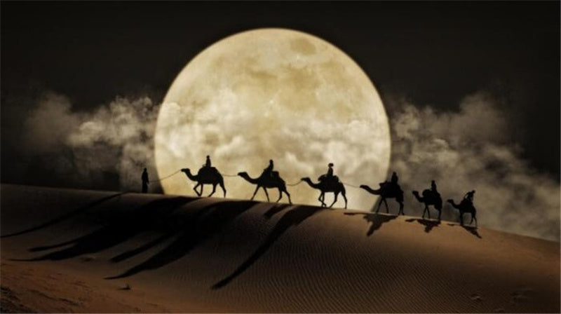 Desert’s Quiet Passage Canvas
