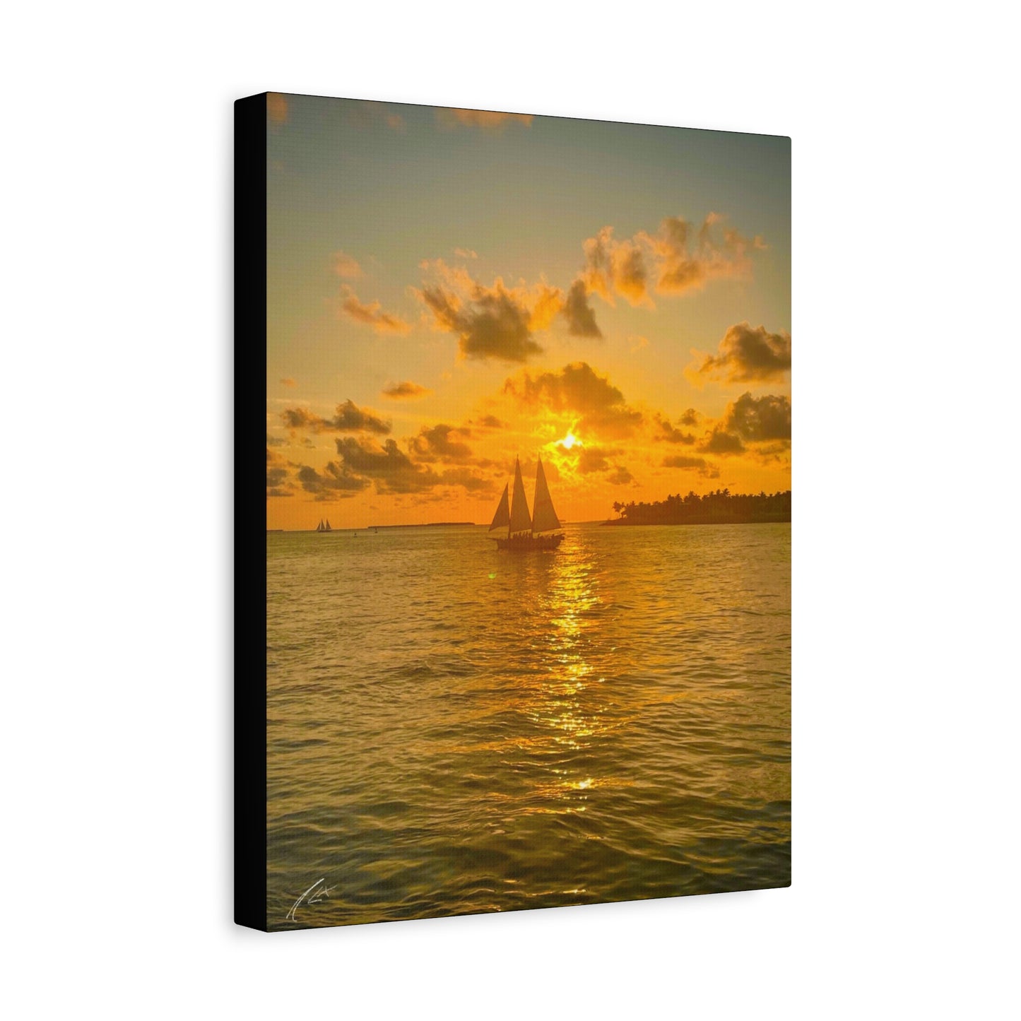“Golden Voyage” // Signature Set