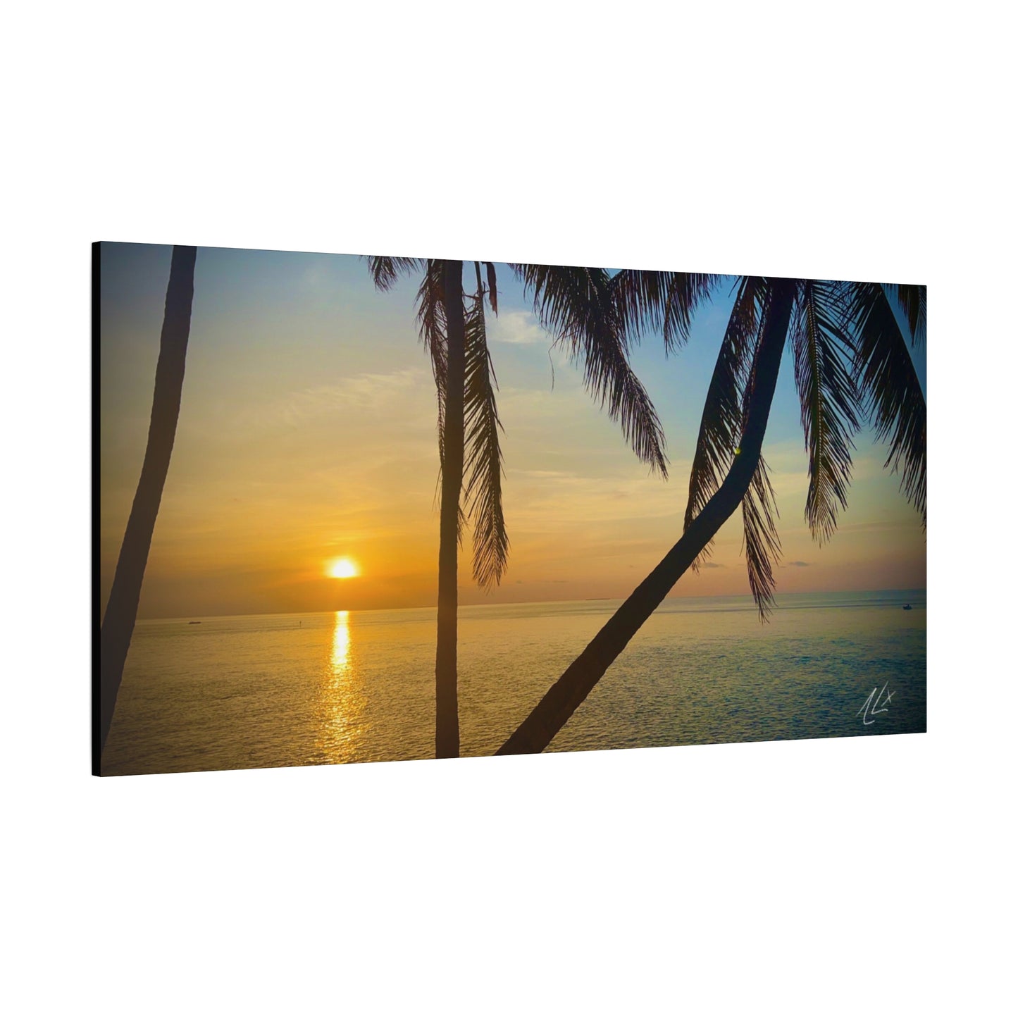 “Cradle of Palms” // Signature Set