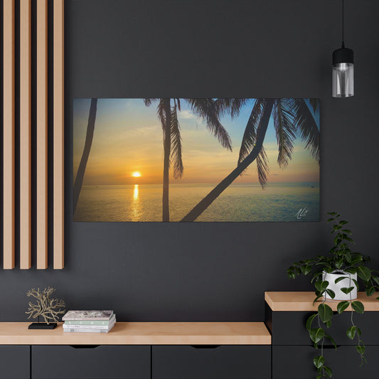 “Cradle of Palms” // Signature Set