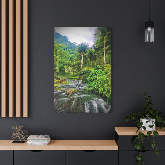“Jungles Veins” // Signature Set